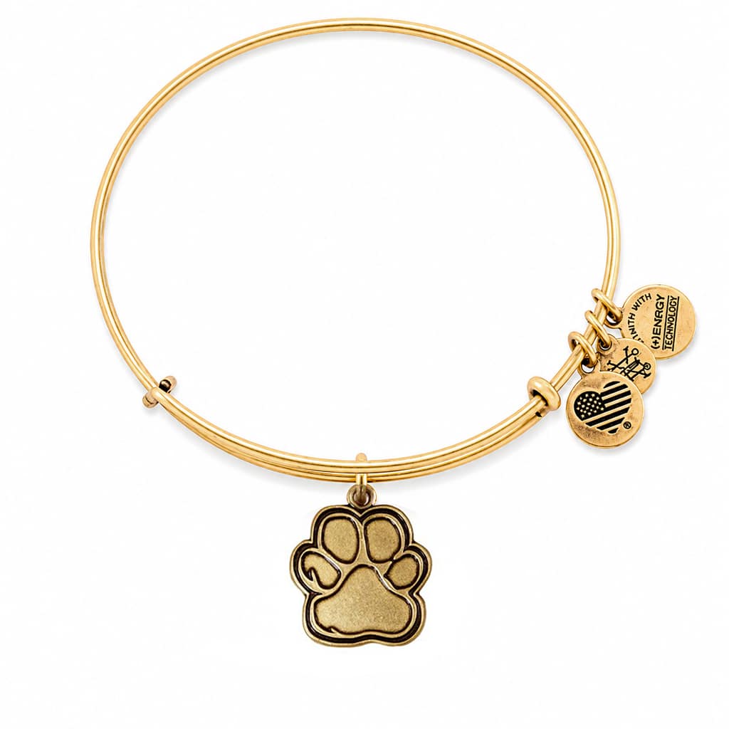 ΒΡΑΧΙΟΛΙ ALEX AND ANI ΓΥΝΑΙΚΕΙΟ CBD14POLRG (20CM )