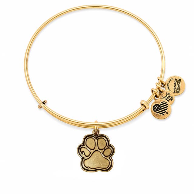 ΒΡΑΧΙΟΛΙ ALEX AND ANI ΓΥΝΑΙΚΕΙΟ CBD14POLRG (20CM )