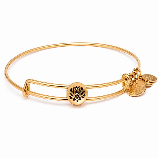 ΒΡΑΧΙΟΛΙ ALEX AND ANI ΓΥΝΑΙΚΕΙΟ SSEWB10G (20CM )