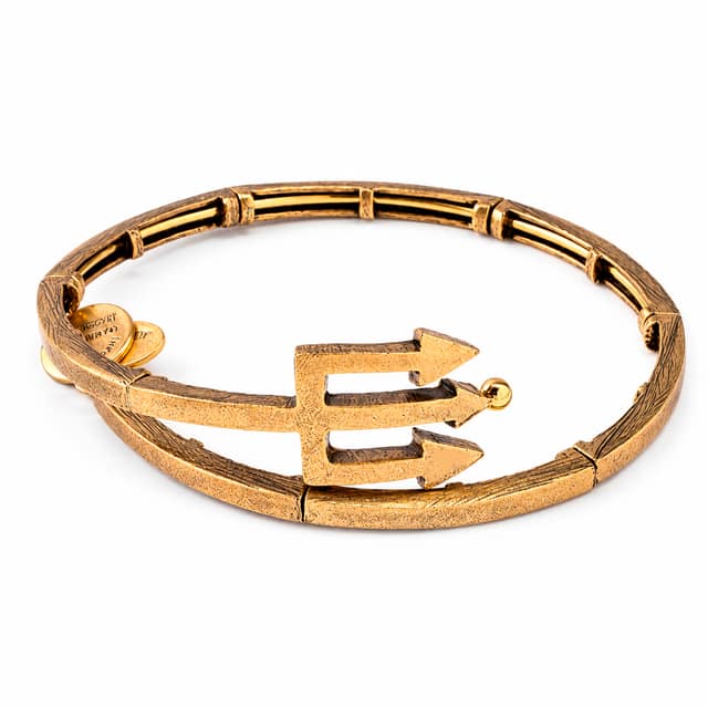 ΒΡΑΧΙΟΛΙ ALEX AND ANI ΓΥΝΑΙΚΕΙΟ V16W30RG (20CM )