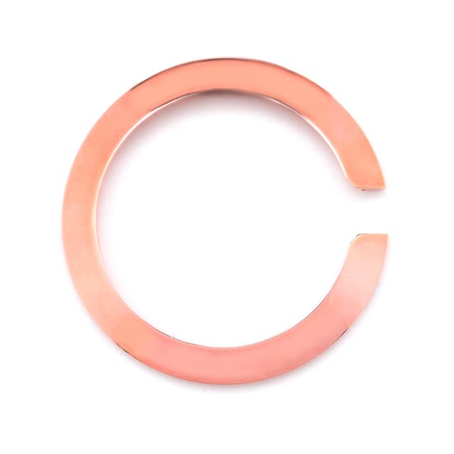 ΡΟΛΟΙ GLAM ROCK UNISEX GC3044CR (40MM)