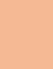 Artdeco Fluid Camouflage Foundation Makeup 20 ml (Warm 24 Golden Beige)