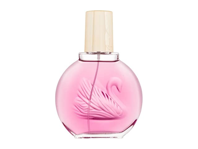 Gloria Vanderbilt Minuit a New York Eau de Parfum 100 ml
