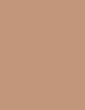 Shiseido Sun Protection Tanning Compact Foundation Makeup 12 g (Bronze)