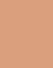 Shiseido UV Protective Compact Foundation Makeup 12 g (Dark Ivory)