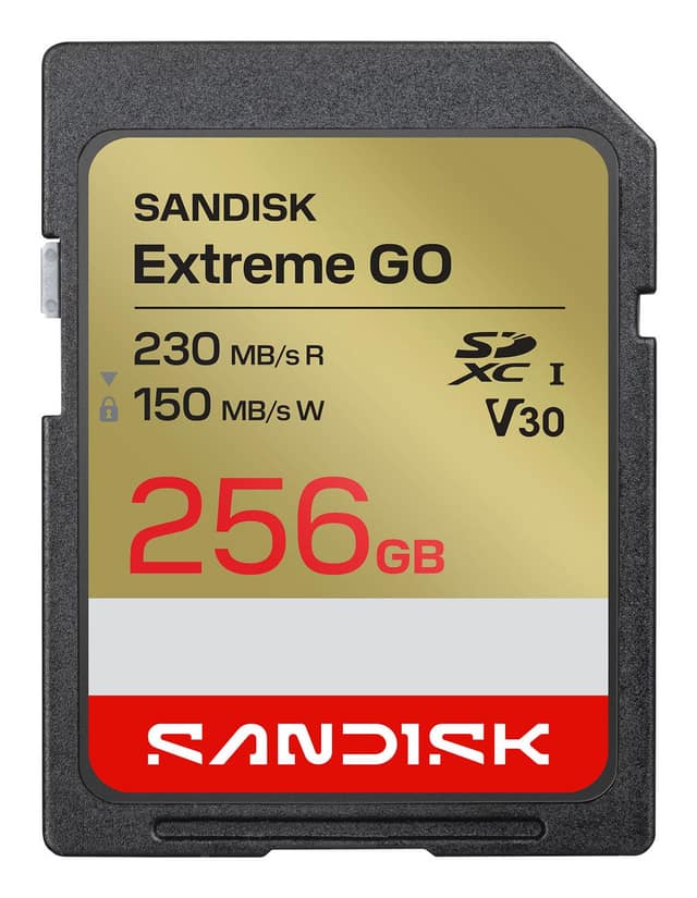 ΜΝΗΜΗ SDXC 256GB UHS-I/SDSDXGN-256G-GNCIN SANDISK