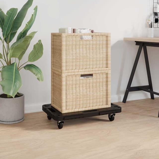 VidaXL Τρόλεϊ Μεταφοράς Μαύρο 58x38x12 εκ. από Πολυπροπυλένιο
