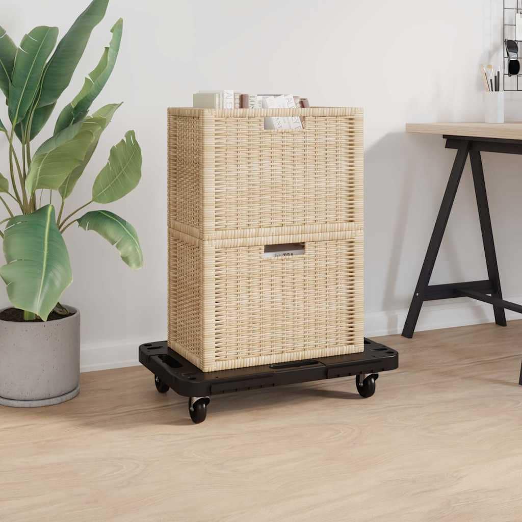 VidaXL Τρόλεϊ Μεταφοράς 2 Τεμ. Μαύρα 58 x 38 x 12 εκ. Πολυπροπυλένιο