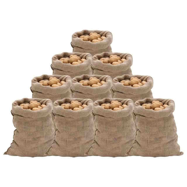 VidaXL Σακιά Γιούτας 10 Τεμ. 60 x 105 εκ. από Γιούτα 220 gsm
