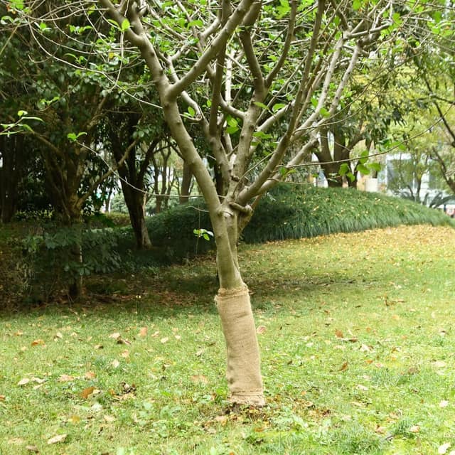 VidaXL Δίχτυ κήπου από γιούτα 50 cm x 5 m 180 gsm 100% Γιούτα Τοσσά