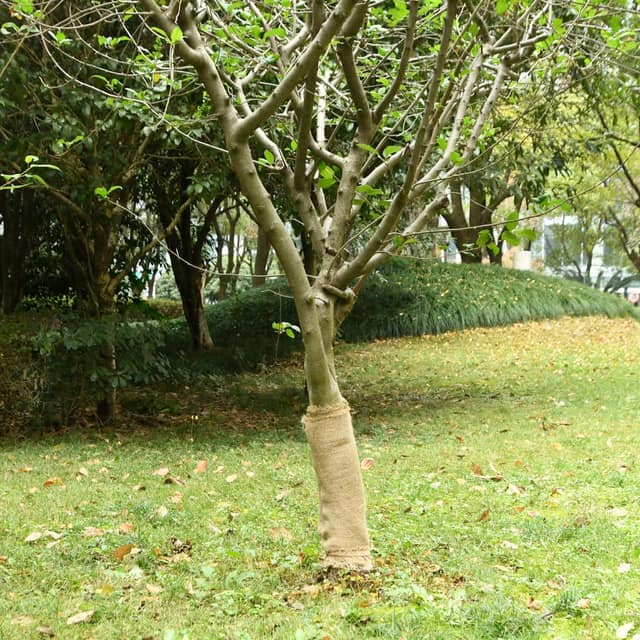 VidaXL Δίχτυ κήπου από γιούτα 50 cm x 25 m 180 gsm 100% Γιούτα Τοσσά