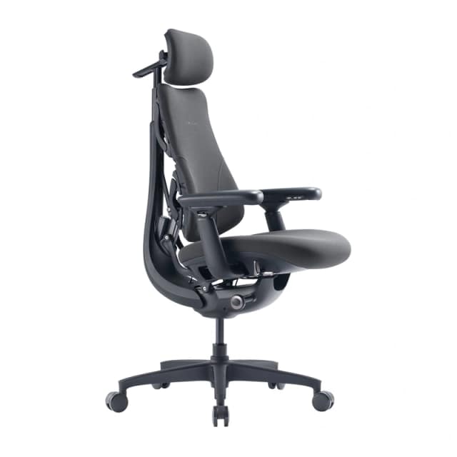 Εργονομική καρέκλα LiberNovo Omni GEN 45 cm (Γραφίτης)