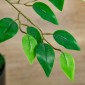 Τεχνητό δέντρο Ficus Τεχνητό φυτό Ρεαλιστική εμφάνιση Γλάστρα τσιμέντου 135cm Easy Care Πλαστικό Πράσινο
