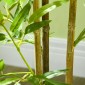 Σετ Τεχνητό Μπαμπού δέντρο με 2 3 κορμούς Easy Care 120cm Τσιμεντοδοχείο Πράσινο