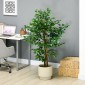Τεχνητό φυτό δέντρο Ficus, ζωντανό, ύψους 150 cm, με γλάστρα, πράσινο