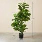 Τεχνητό Φυτό Ficus 110 cm ύψος με 90 φύλλα & γλάστρα για σαλόνι
