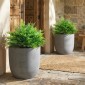 Τεχνητά φυτά τεχνητά Boston Fern Bushes ανθεκτικά στην υπεριώδη ακτινοβολία Τεχνητά φυτά με πασσάλους Σετ 2 60 cm για βεράντα στον κήπο