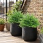 Τεχνητά φυτά τεχνητά Boston Fern Bushes ανθεκτικά στην υπεριώδη ακτινοβολία Τεχνητά φυτά με πασσάλους Σετ 2 60 cm για βεράντα στον κήπο