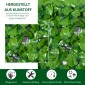 Τεχνητός φράκτης Privacy Screen UV Proteced Privacy Screen with Leaves Hedge Fence 300 x 100 cm Πράσινο