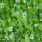 Τεχνητός φράκτης Privacy Screen UV Proteced Privacy Screen with Leaves Hedge Fence 300 x 150 cm Πράσινο