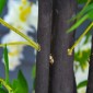 Τεχνητή wisteria μεγάλο τεχνητό φυτό 165 εκατοστών, πλαστικά τεχνητά φυτά τεχνητά λουλούδια σε γλάστρα, ψεύτικο φυτό σαν αληθινό για σαλόνι γραφείου μοντέρνα διακόσμηση δώρο