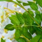 Τεχνητή wisteria μεγάλο τεχνητό φυτό 165 εκατοστών, πλαστικά τεχνητά φυτά τεχνητά λουλούδια σε γλάστρα, ψεύτικο φυτό σαν αληθινό για σαλόνι γραφείου μοντέρνα διακόσμηση δώρο