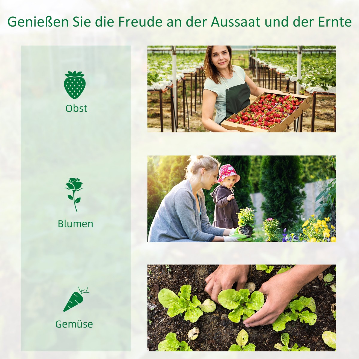 Tunnel Greenhouse Walk In Roll Up Walls Zip Door Πλαίσιο από γαλβανισμένο χάλυβα 4 x 3 x 2m Λευκό