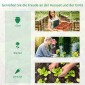 Tunnel Greenhouse Walk In Roll Up Walls Zip Door Πλαίσιο από γαλβανισμένο χάλυβα 4 x 3 x 2m Λευκό