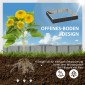 Ατσάλινο υπερυψωμένο κρεβάτι DIY Κρεβάτι κήπου με Σχήμα Τ φυτικές πινακίδες Γάντια Κρεβάτι φυτό Κρεβάτι βοτάνων Σκάλες λουλουδιών για μπαλκόνι κήπο σκούρο γκρι 258 x 90 x 30 cm