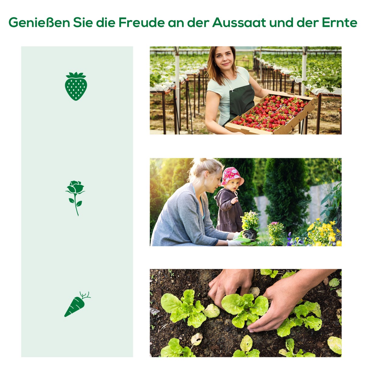 Polytunnel Weather Resistant Ανθεκτικό στην υπεριώδη ακτινοβολία Πολυτούνελ 200cm x 80cm x 45cm Πράσινο