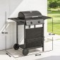 Ψησταριά αερίου 5 KW 2 καυστήρων BBQ καροτσάκι ψησταριάς από ανοξείδωτο χάλυβα συμπεριλαμβανομένου του πλαϊνού τραπεζιού κάτω καλαθιού μπροστινό κάλυμμα θερμόμετρο σχάρα σχάρα σμάλτου