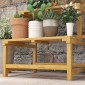 Φυτοστάσι, ράφι λουλουδιών, 2 επιπέδων, με πέργκολα & στέγη, ξύλο ελάτης, 60x50x166cm, κίτρινο