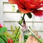 Σετ εργαλείων κήπου 2 εργαλείων κήπου από ανοξείδωτα εργαλεία κήπου με κλαδευτήρια, κούμπες, πράσινο και ασημί