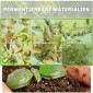 240L Garden Composter, Τριγωνικός Κάδος Κομποστοποίησης με 3 Πόρτες, Μαύρος