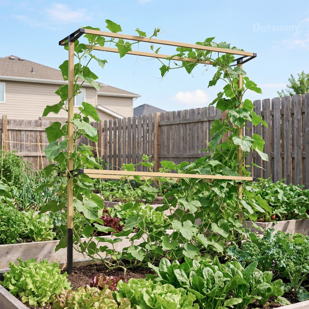 Flexible Metal Garden Trellis for Berries: Raspberries, Blackberries & Blueberries - Expandable Trellis