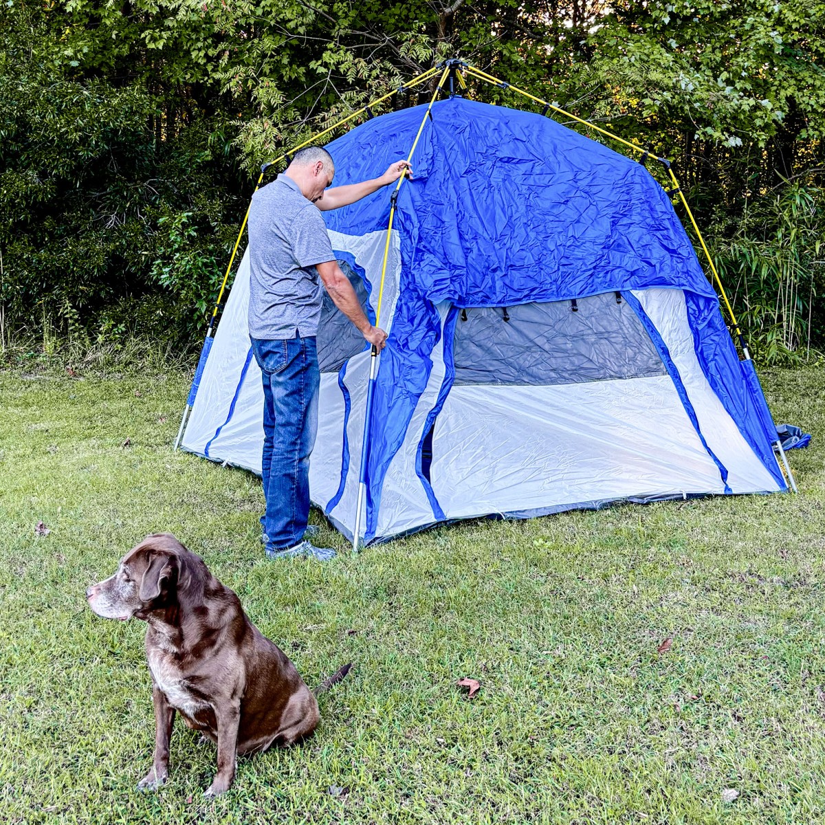 Pop up dome σκηνή για 3 άτομα, ελαφριά, σταθερή, αδιάβροχη UV 50+ με γάντζους, πόρτα, παράθυρο, υπόστρωμα