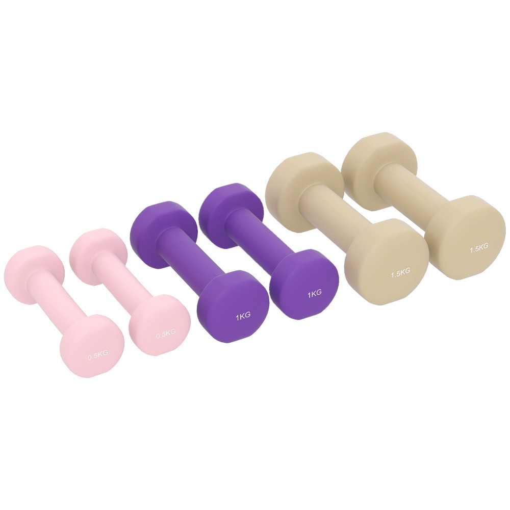 Σετ αλτήρες με 6 αλτήρες με θήκη, βάρη, 0,5kg, 1kg, 1,5kg ρυθμιζόμενο για το σπίτι, γυμναστήριο