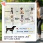 Dog Buggy Dog Cart έως 20 kg Πτυσσόμενες 3 πλαϊνές τσέπες 102 cm x 62 cm x 105 cm Γκρι