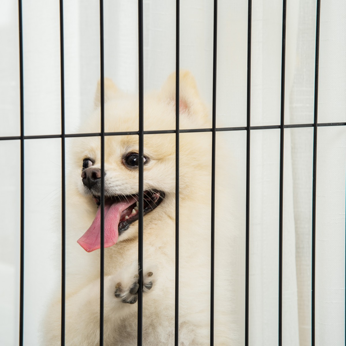 Dog Barrier Freestanding Safety Gate with Feet 305 x 82 cm Ξύλινη Πύλη Dog Πτυσσόμενη Πύλη Σκάλας Barrier σκύλου για Σκάλες, Πόρτες, Διάδρομος, 4 Πάνελ, Λευκό