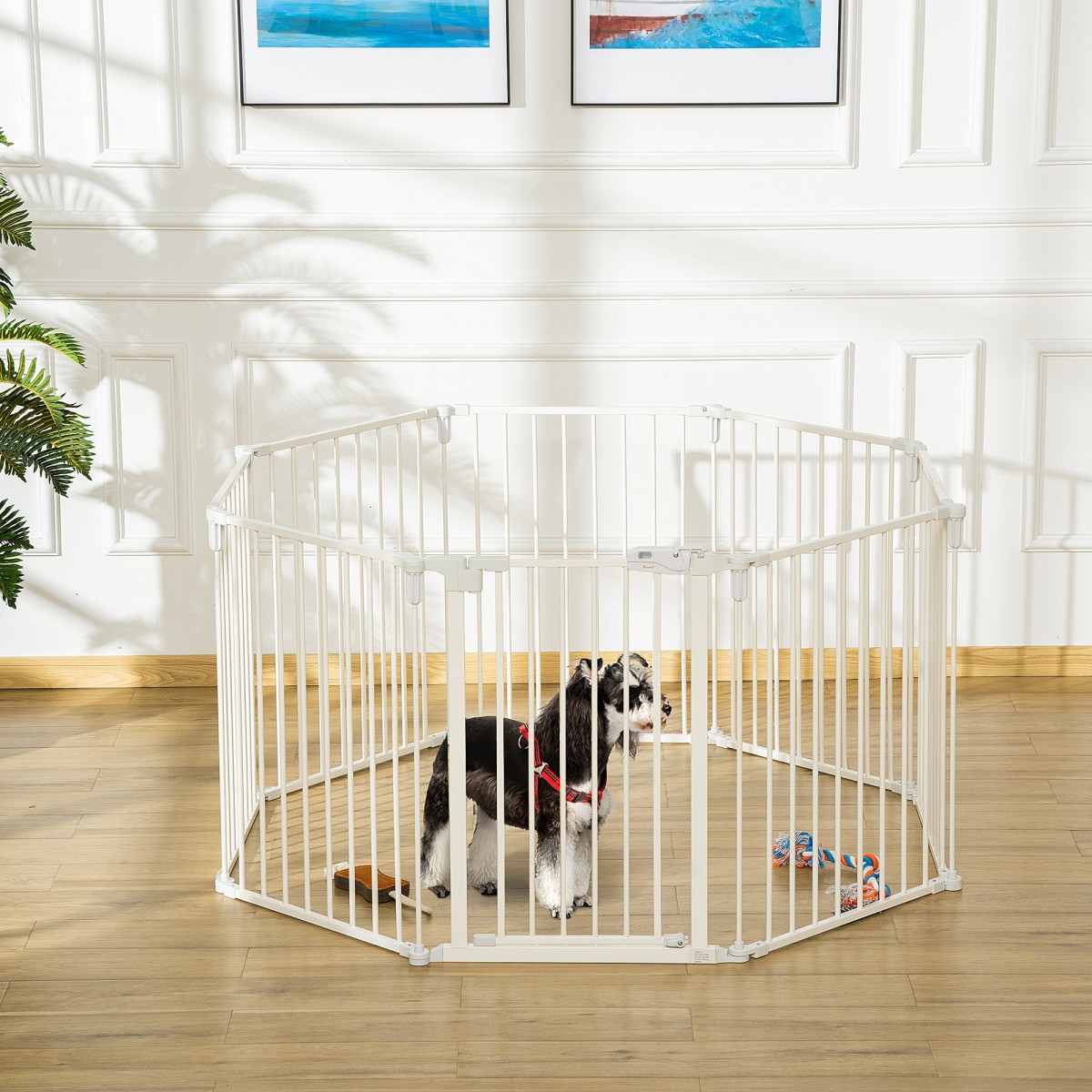 Puppy run 8 τεμαχίων, αναδιπλούμενο 60 x 76 cm για κουτάβι παρκοκρέβατο με πόρτα, πύλη σκύλου για μικρά, μεσαία σκυλιά, εξωτερικό περίβλημα για πόρτα, τζάκι, σκάλες, λευκό