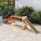 Agility Dog Ramp, Γήπεδο, Αντιολισθητικό, Αδιάβροχο, Ξύλο, 335 x 55 x 60 cm, Πορτοκαλί