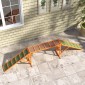 Agility Dog Ramp, Γήπεδο, Αντιολισθητικό, Αδιάβροχο, Ξύλο, 335 x 55 x 60 cm, Πορτοκαλί