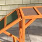 Agility Dog Ramp, Γήπεδο, Αντιολισθητικό, Αδιάβροχο, Ξύλο, 335 x 55 x 60 cm, Πορτοκαλί