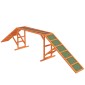 Agility Dog Ramp, Γήπεδο, Αντιολισθητικό, Αδιάβροχο, Ξύλο, 335 x 55 x 60 cm, Πορτοκαλί
