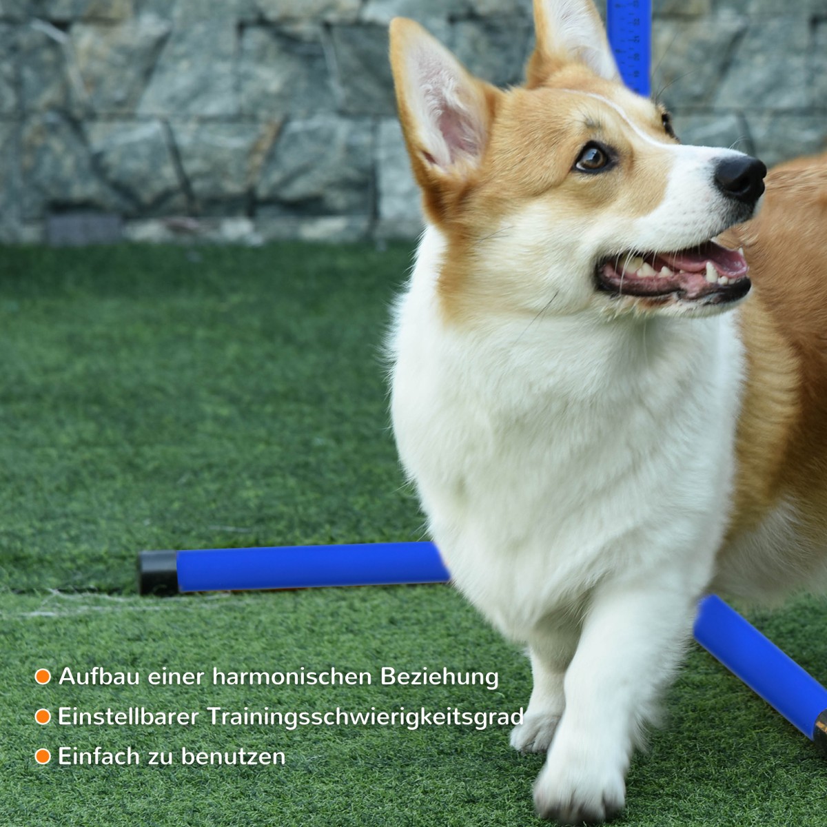 Agility Set Ρυθμιζόμενο ύψος Σκύλος Agility Equipment with 4 Hurdles Carry Bag 104x67 cm Μπλε