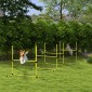 Dog Agility Set Hurdles/Slamon Bars/Ground Bars Carry Bag Heavy Duty Yellow