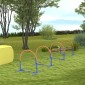 Σετ Agility για σκύλους, εκπαίδευση σκύλων, 4 σεντόνια, για αρχάριους, με τσάντα μεταφοράς, μπλε + πορτοκαλί, 88 x 64 x 95 cm