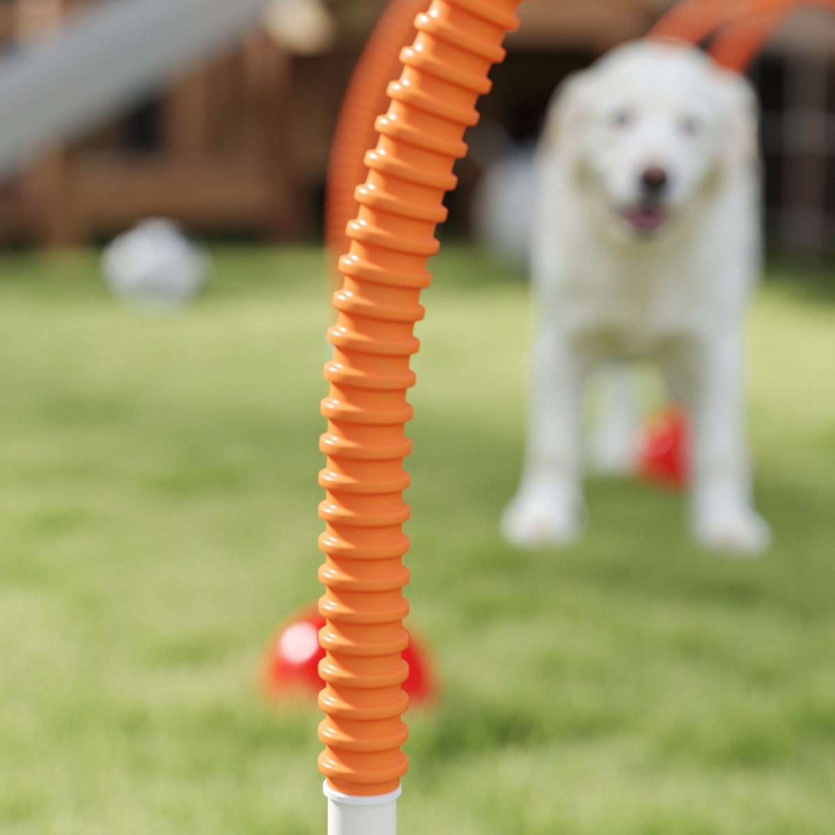 Σετ εργαλείων Dog Dexterity με 4 ρυθμιζόμενες πόρτες, τσάντα μεταφοράς, κίτρινο και πορτοκαλί