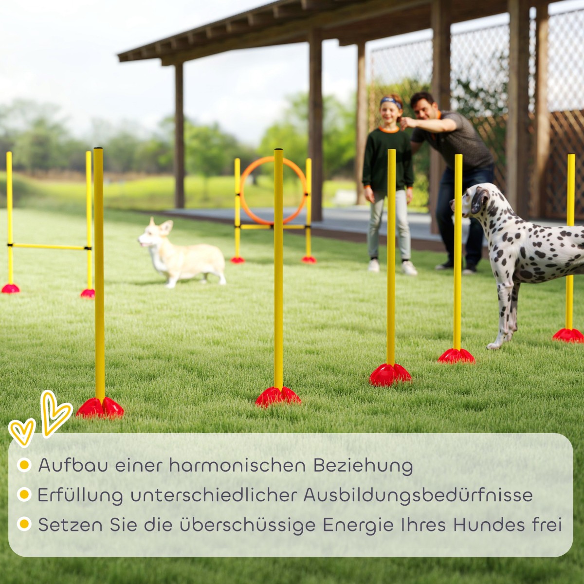 Agility Set Dogs 3 τεμαχίων γεμιζόμενος εξοπλισμός ευκινησίας για εμπόδια εκπαίδευσης σκύλων με κοντάρια σλάλομ