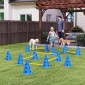 Agility Set Dogs Εξοπλισμός ευκινησίας 6 τεμαχίων για εκγύμναση σκύλων σετ με 12 κώνους τσάντα μεταφοράς 6 εμποδίων
